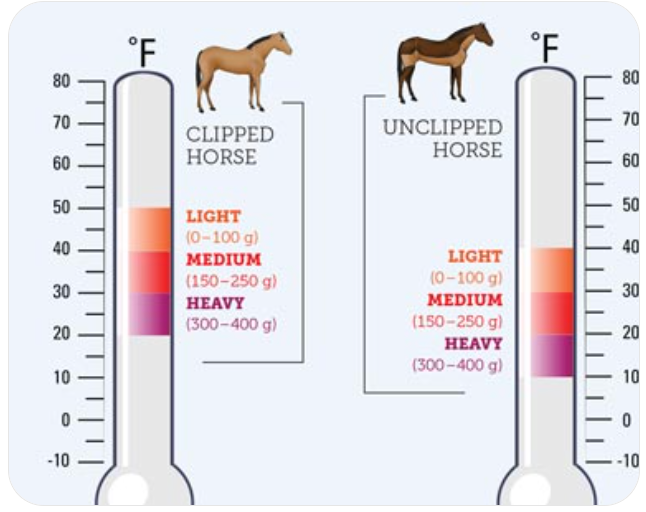 Diagram showing recommended blanketing temperatures for clipped versus unclipped horse