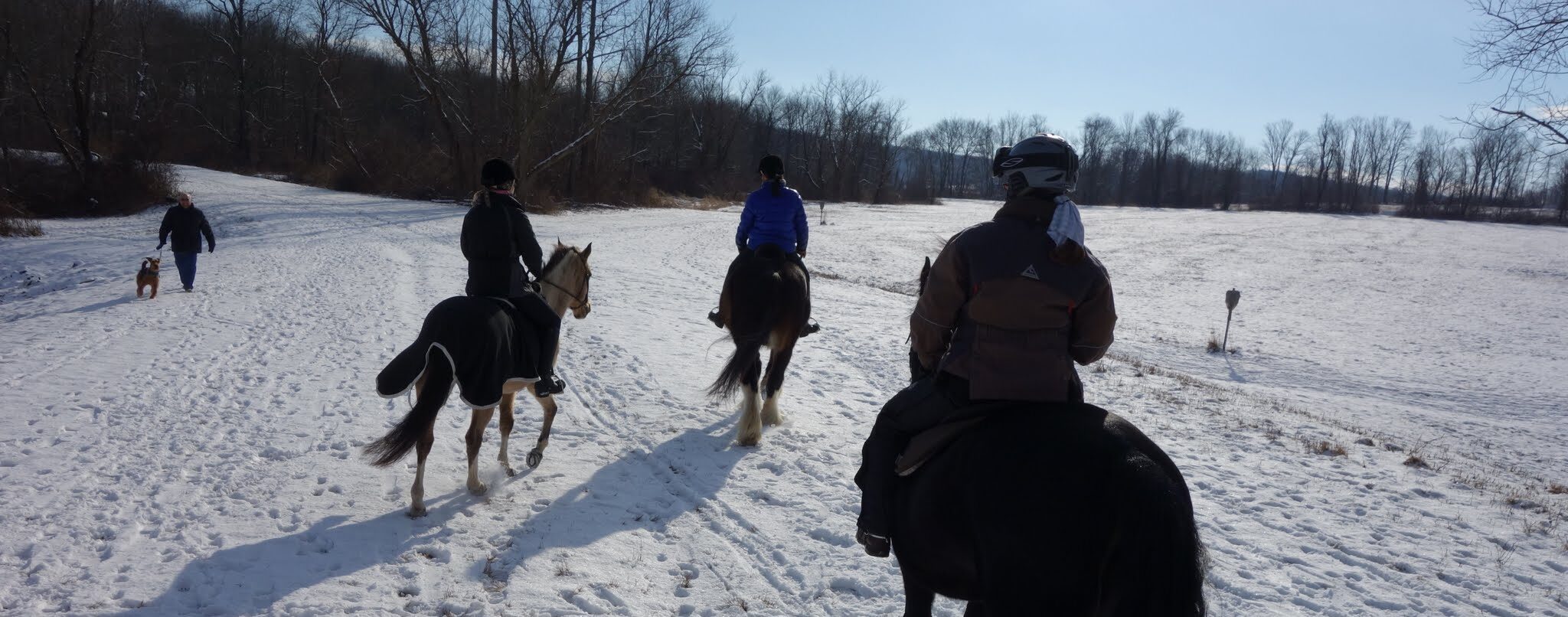 trail riding in the snow